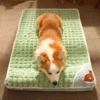 Tapis Lit Hiver Chien & Chat – Douillet Lavable – Image 2